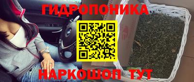 индика Апрелевка