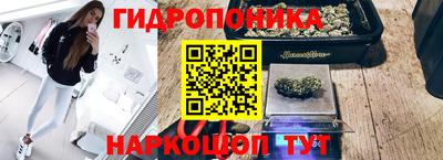 jwh Апшеронск