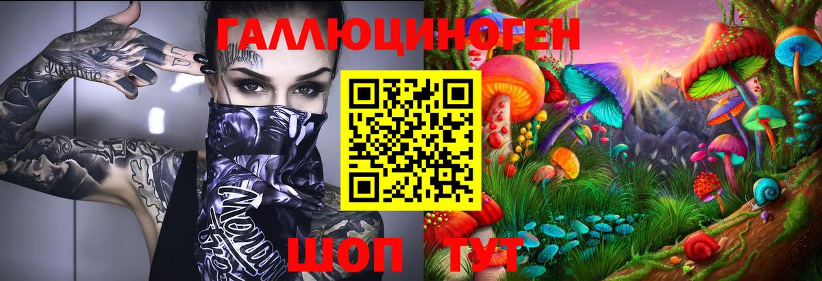 Псилоцибиновые грибы мицелий Апрелевка